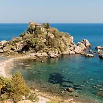 Sciaraviva