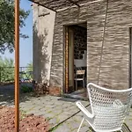 Sciaraviva *